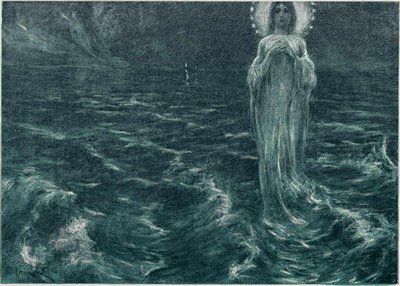 Estrella de mar de Ivan Vavpotic